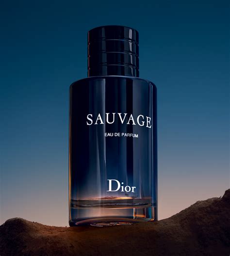 hudsonbay dior|Dior sauvage eau de parfum.